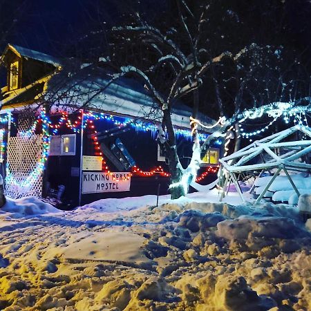 Kicking Horse Backpacker Hostel Golden Exteriör bild